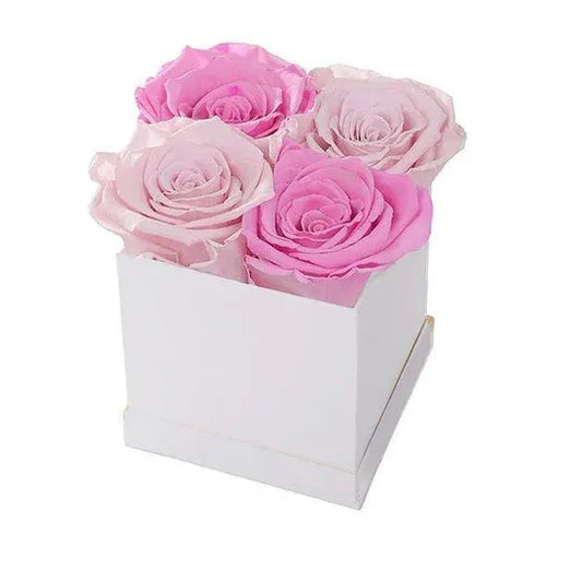 Pink Roses Box - Harlequin